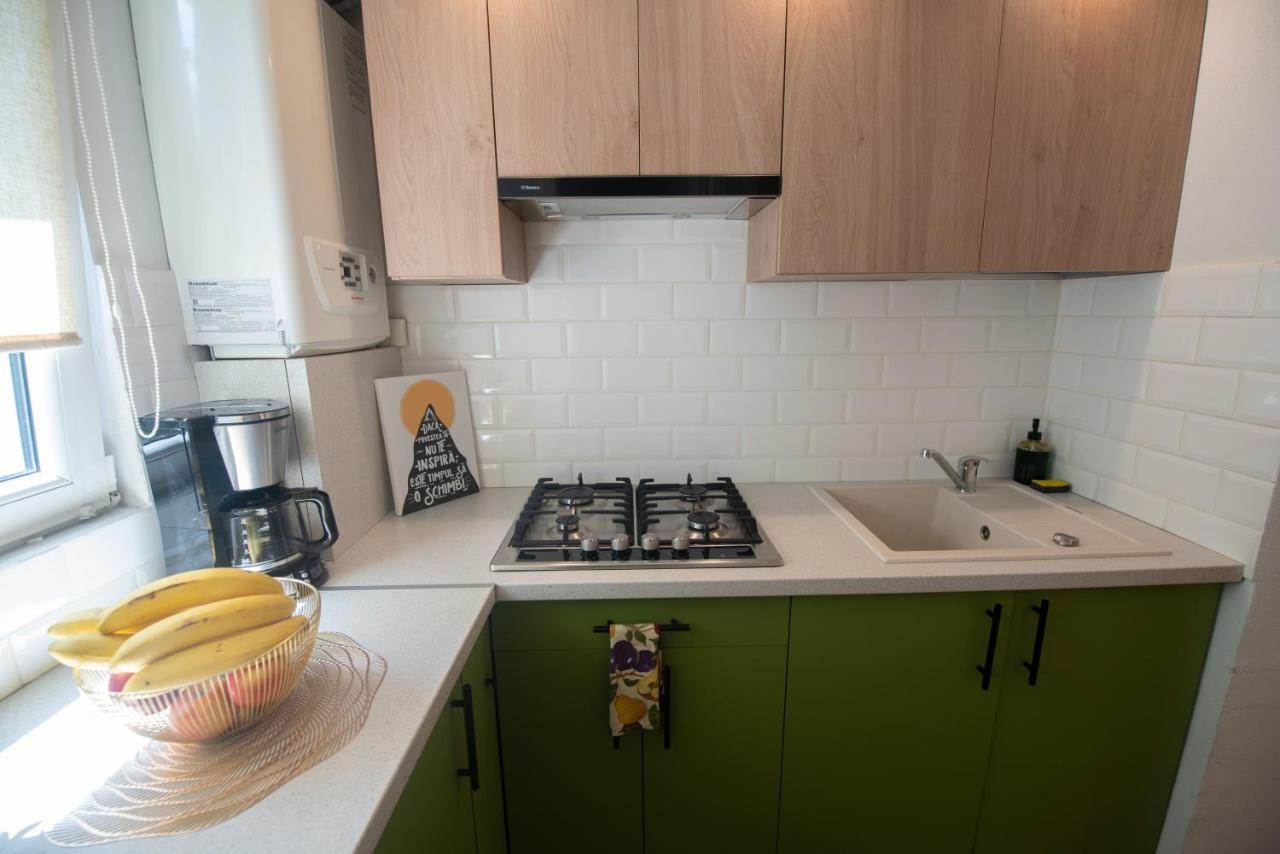 Central Bright Apartment Cluj-Napoca Eksteriør bilde