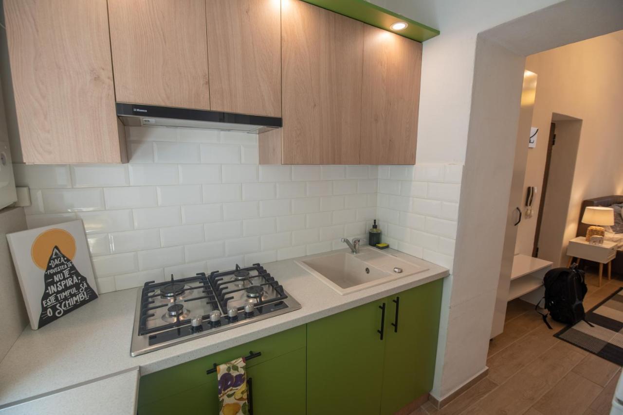 Central Bright Apartment Cluj-Napoca Eksteriør bilde
